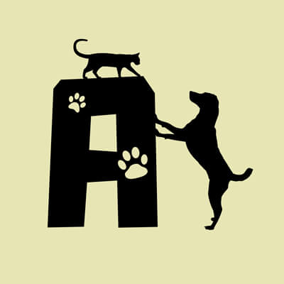Állatos ABC, A betű grafika