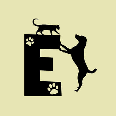 Állatos ABC, E betű grafika