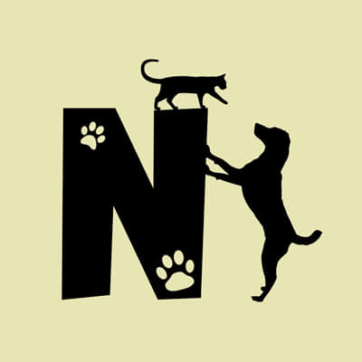 Állatos ABC, N betű grafika