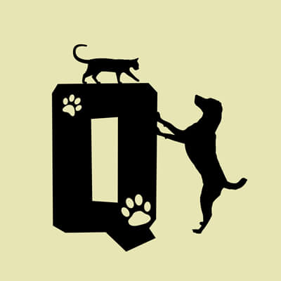 Állatos ABC, Q betű grafika