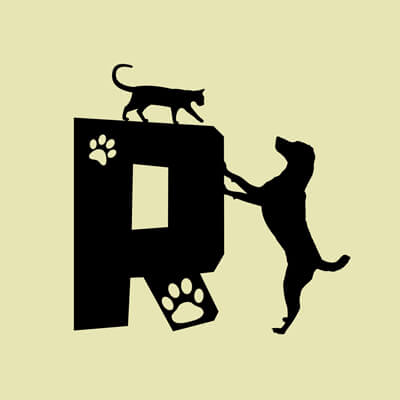 Állatos ABC, R betű grafika