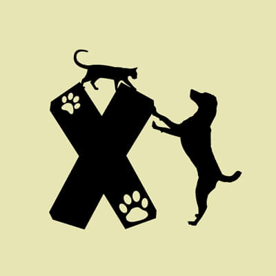 Állatos ABC, X betű grafika