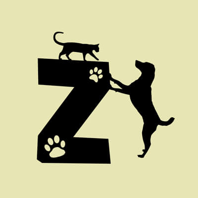 Állatos ABC, Z betű grafika